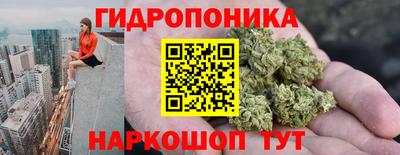 сатива Ачхой-Мартан