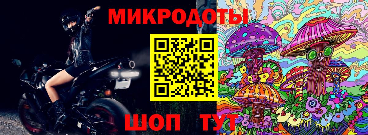 Псилоцибиновые грибы прущие грибы Амурск