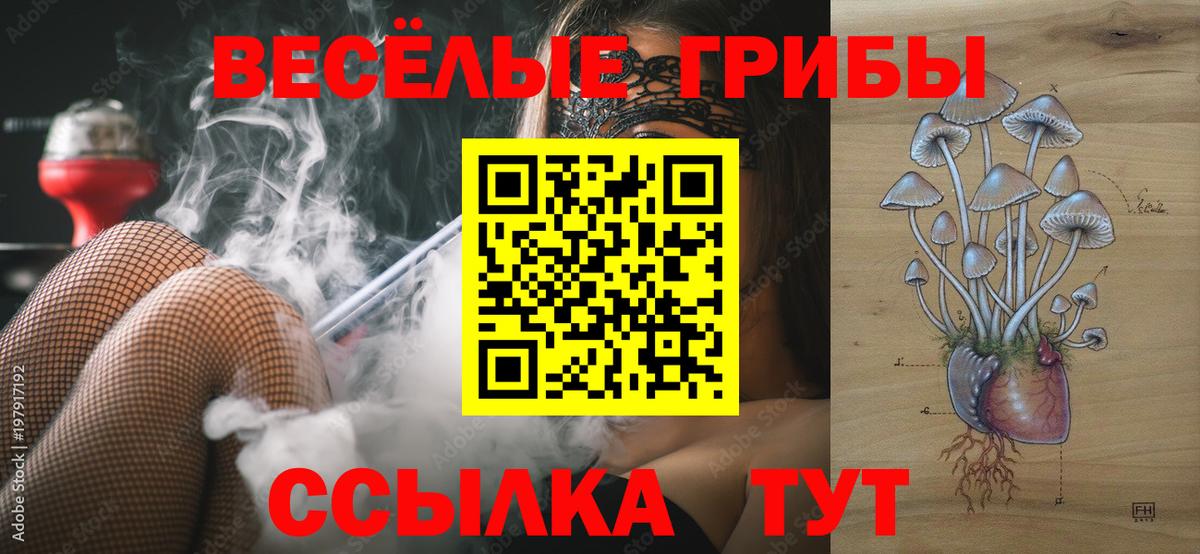 как найти   Вход с VPN  Амурск  Галлюциногенные грибы GOLDEN TEACHER  Галлюциногенные грибы ЛСД 